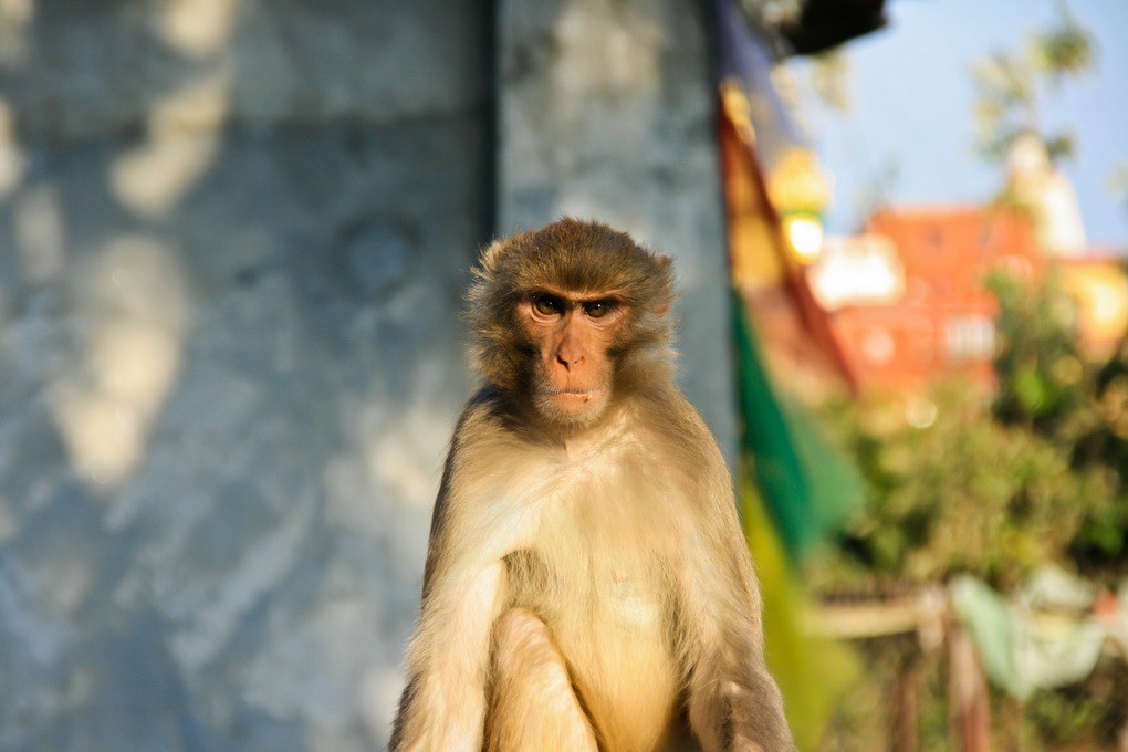 Kathmandu
