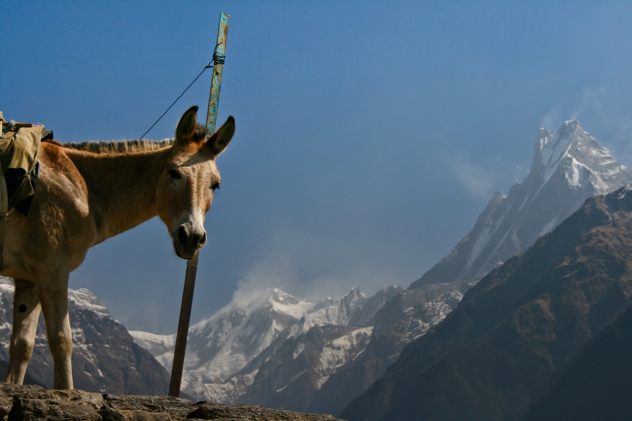 Самостоятельный трекинг в Непале – впечатления и личный опыт