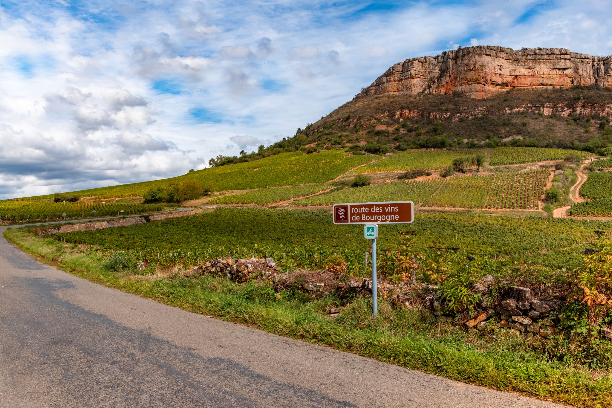 Wine & Gastronomy Tour in Burgundy — Taste the Real France