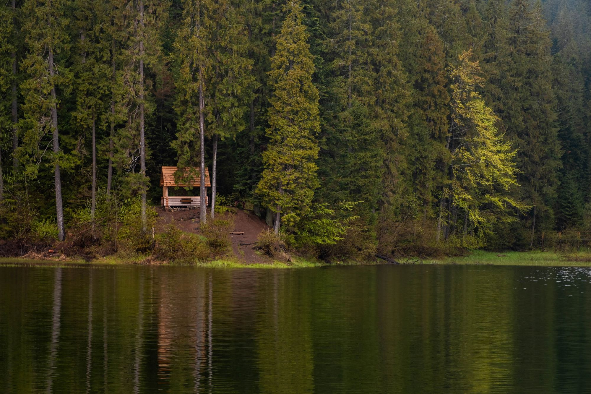 Добірка стильних будиночків для відпочинку в Карпатах