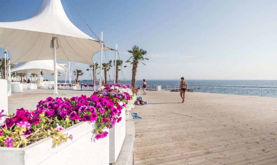 Пляжі Одеси влітку 2025 – де офіційно можна відпочивати