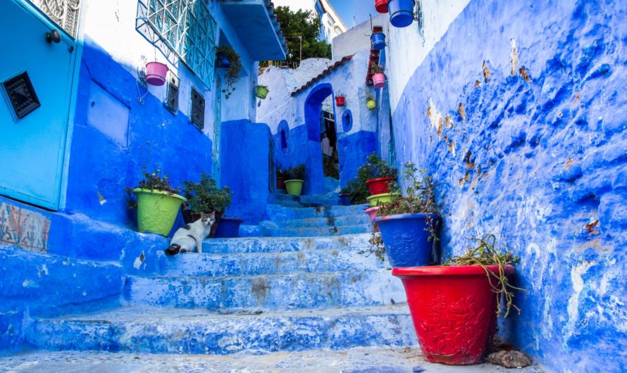 Як отримати візу в Марокко українцям – існуючі варіанти