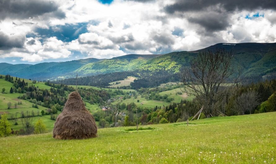 Природні парки України – відпочинок на природі