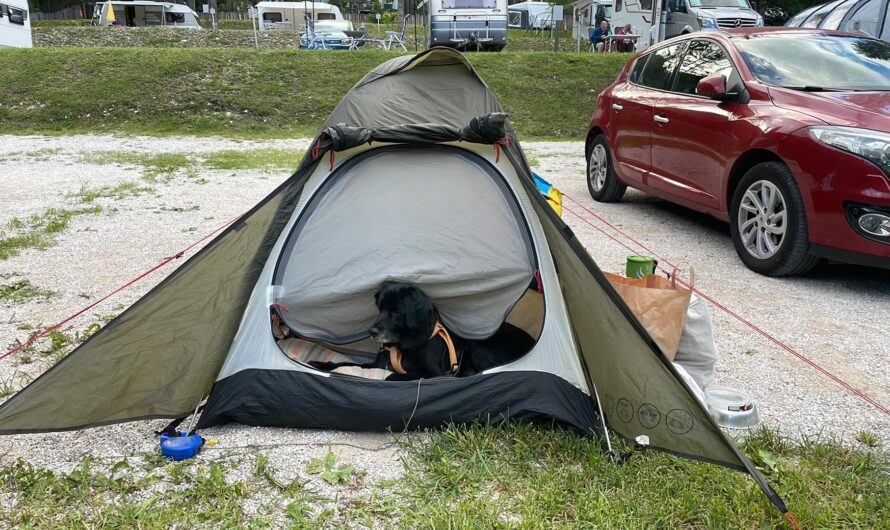 Кемпінги в Україні – де відпочити в наметі безпечно та з комфортом