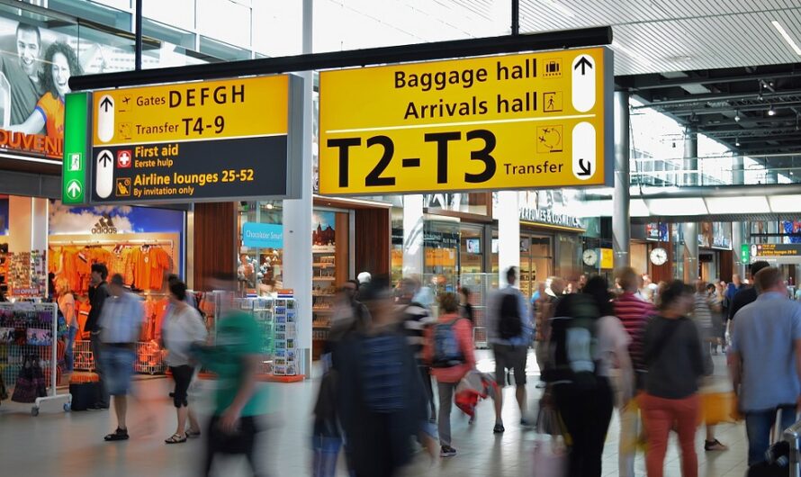 Загубили багаж в аеропорту – що робити?