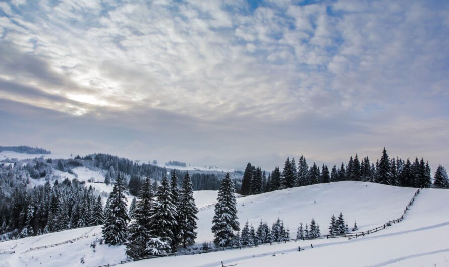 Зима на Буковині – відпочинок у горах на свята