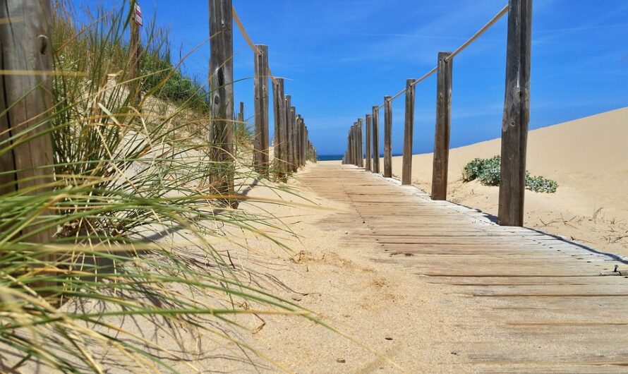 The best beaches near Porto