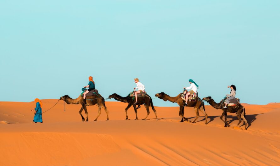 How to plan a trip to Morocco – transport, accommodation, itinerary, money and interesting places