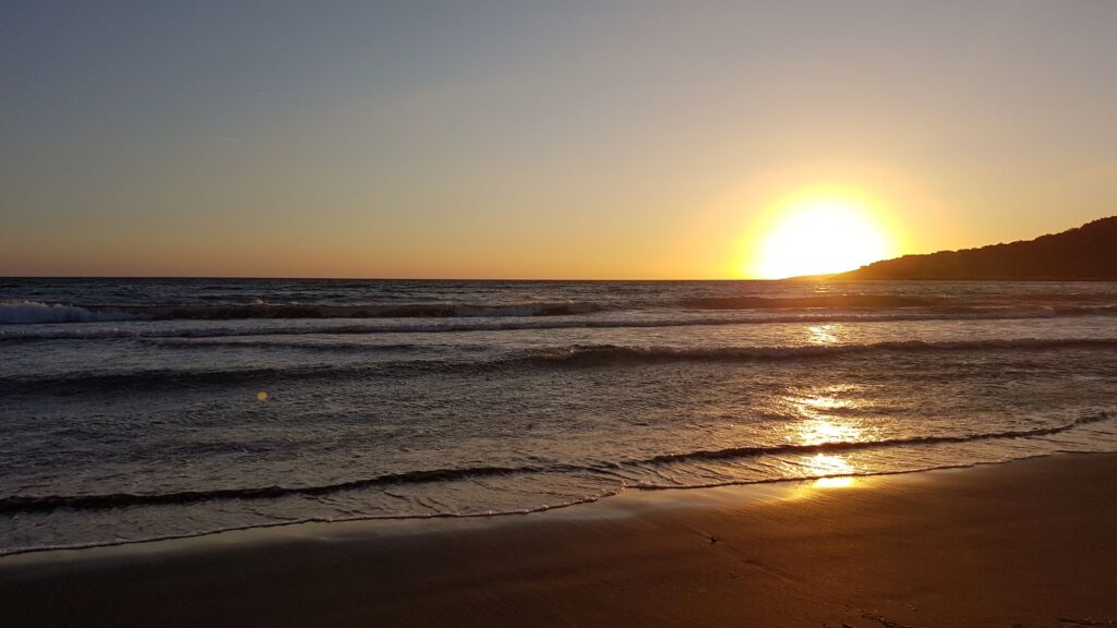 "Patara <img loading=