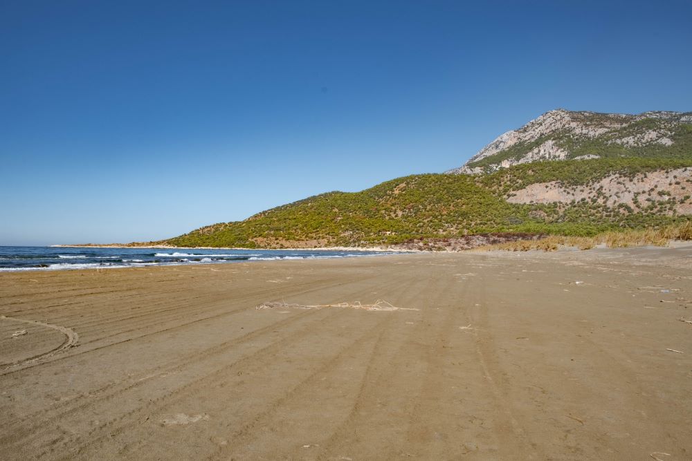 "Patara <img loading=