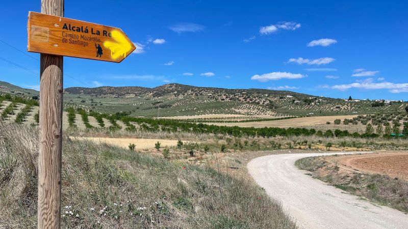 "Camino <img loading=