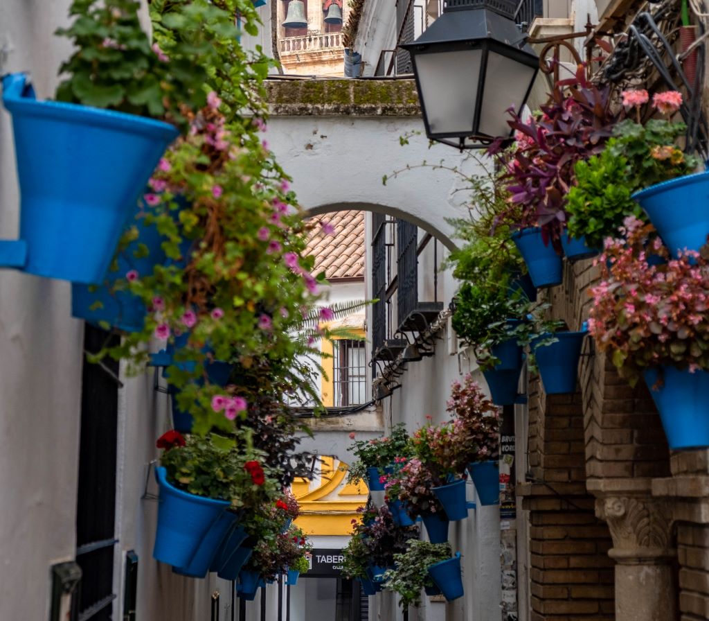 "Street <img loading=