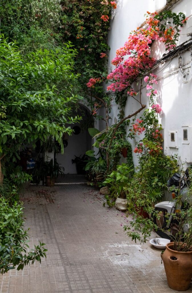 "Patio <img loading=