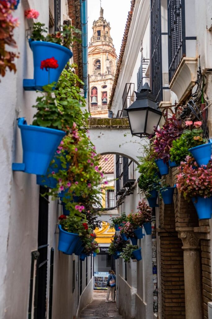 "Street <img loading=