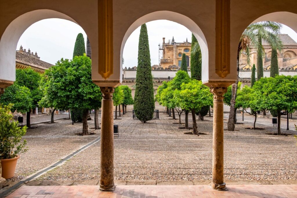 "Mesquite <img loading=