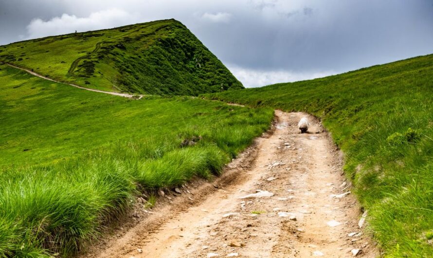 Драгобрат – чим зайнятися влітку на зимовому курорті