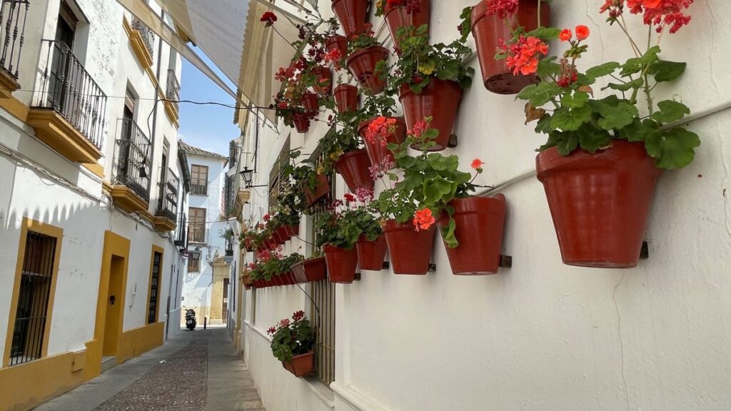 "Street <img loading=