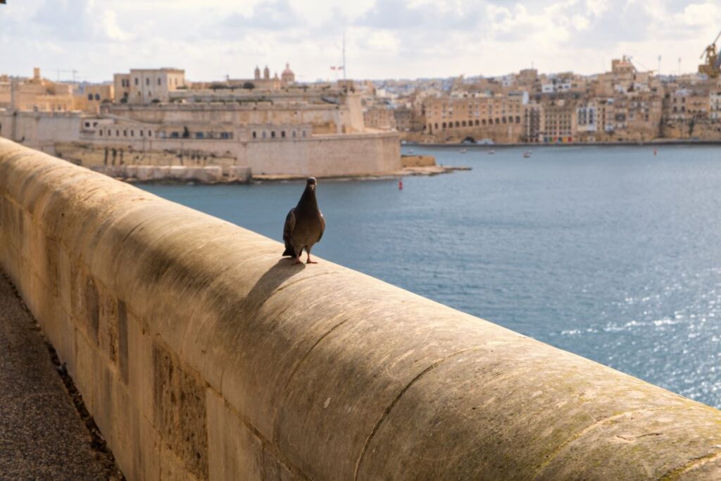 "Valletta, <img decoding=