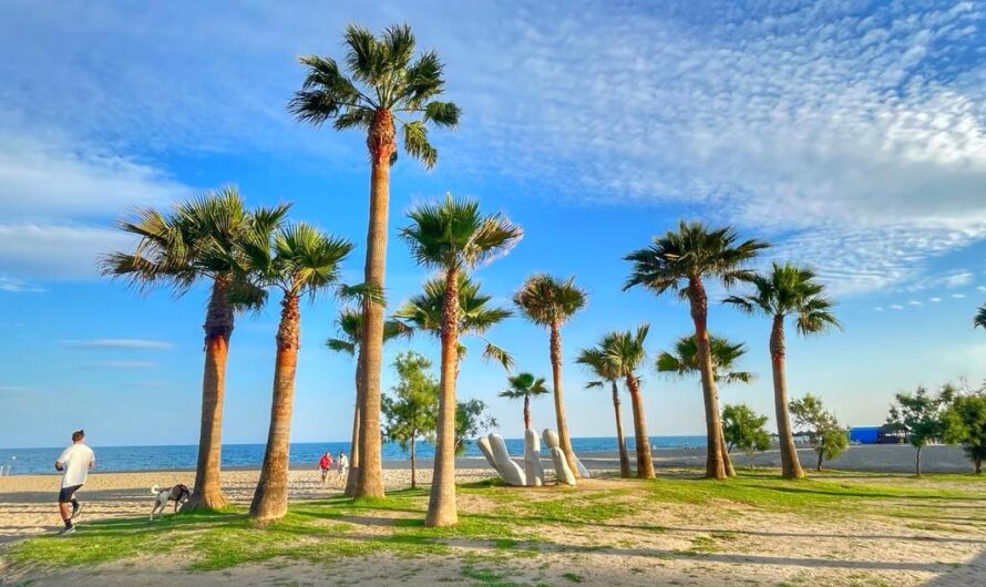 TOP 5 places for a beach holiday on the Costa del Sol, Spain