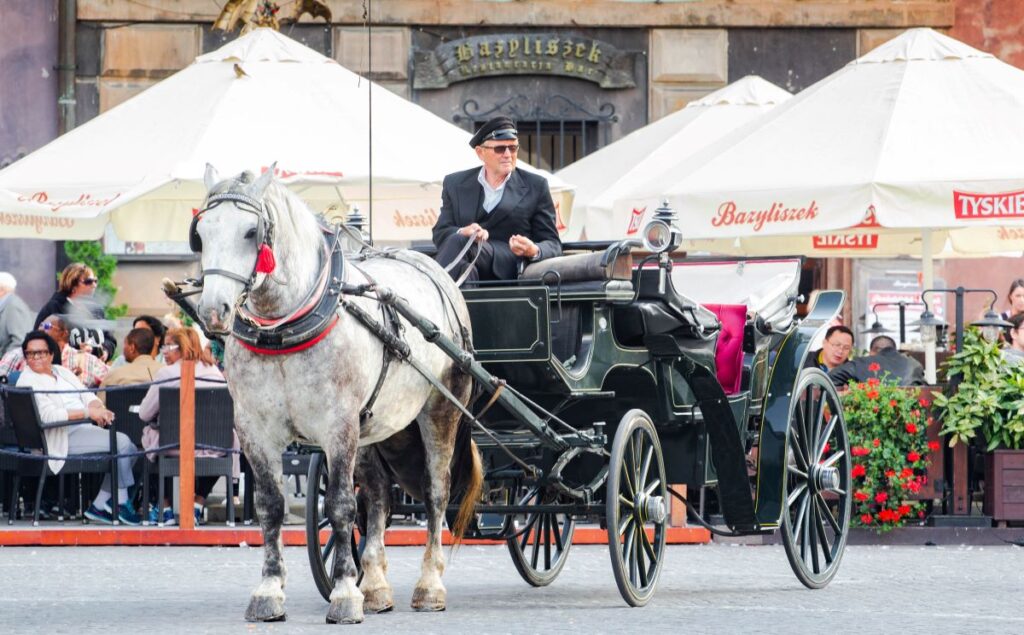 "Warsaw" <img loading=