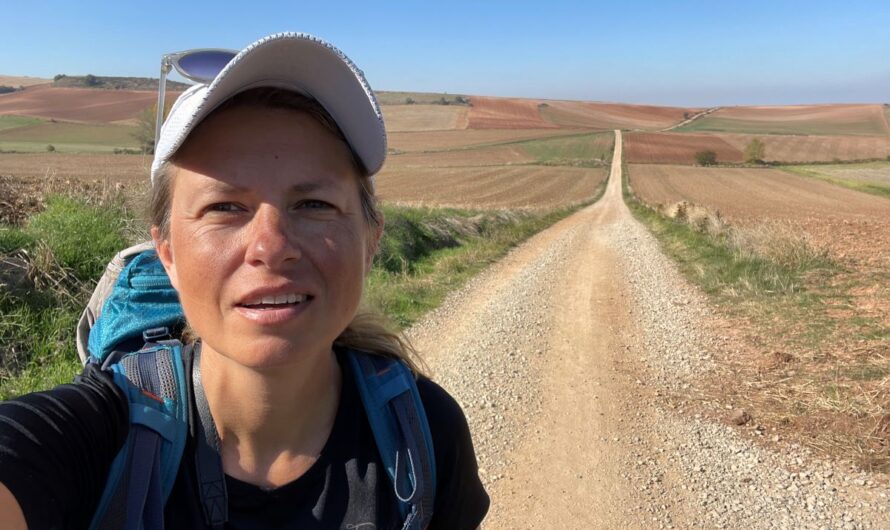 Мій Каміно Франсез – прогулянка частинами за декілька років