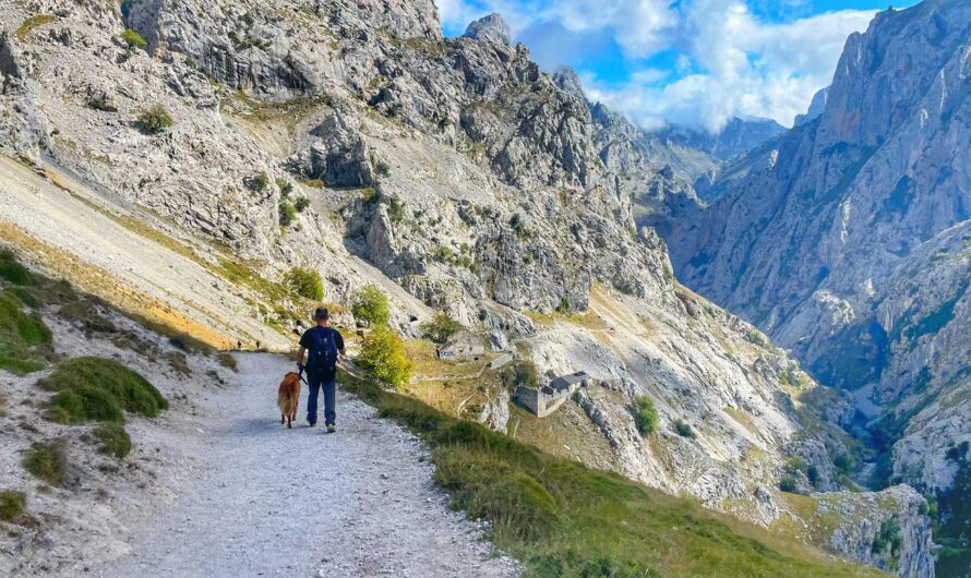 Ruta-del-Cares – the most beautiful hike in the Picos de Europa mountains