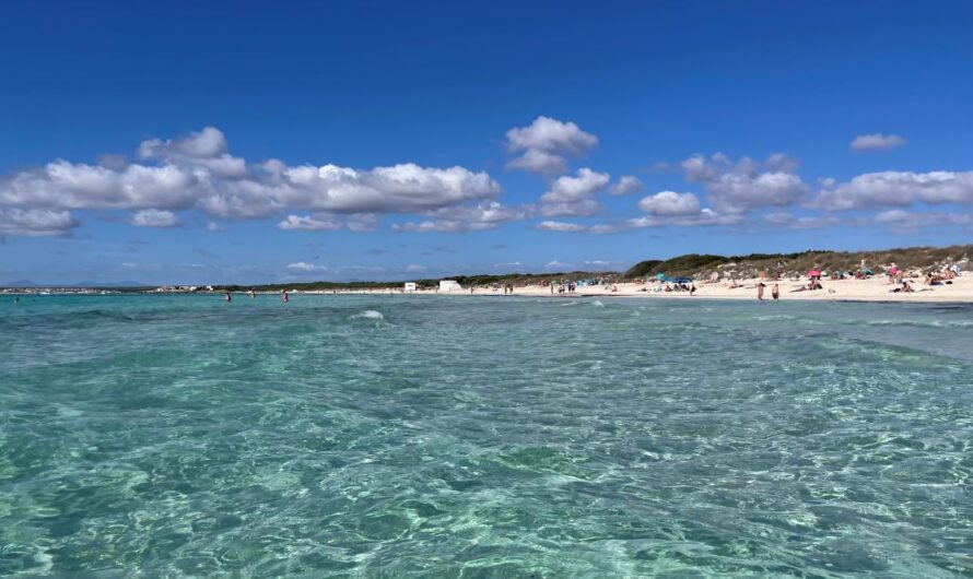 Where to stay in Mallorca – beaches and active adventures