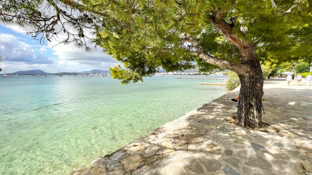 "Майорка, <img decoding=