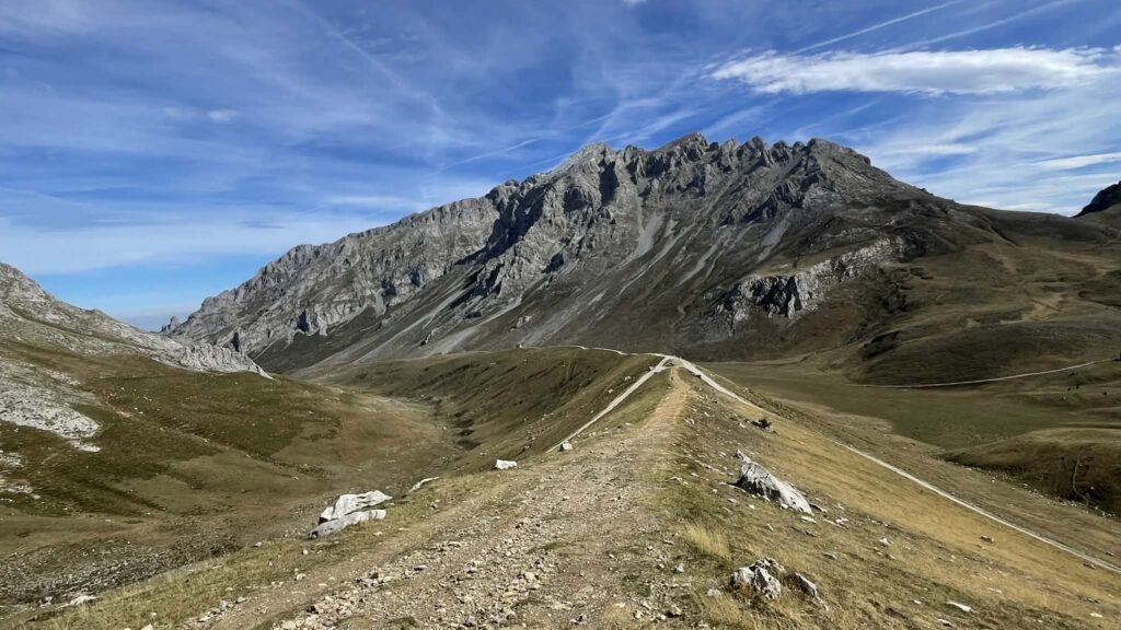 "Пікос" <img decoding=